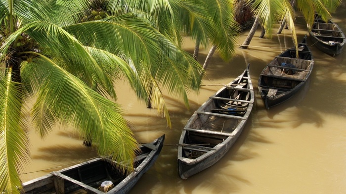 tropics, boats, palm trees, water, nature