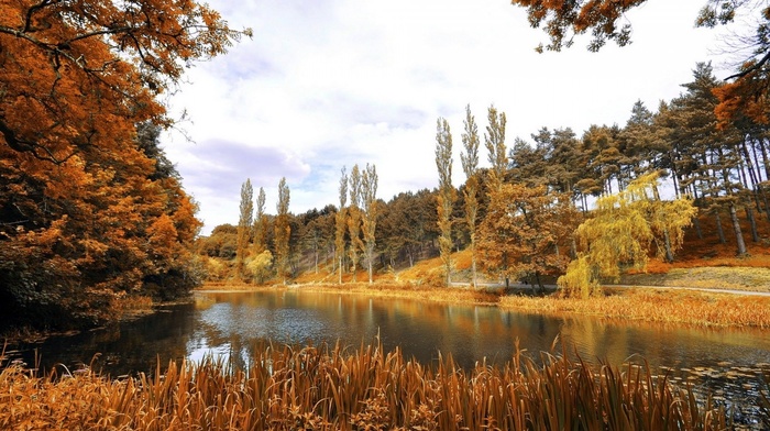 autumn, landscape