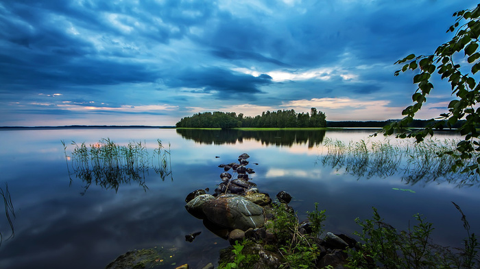 island, nature, trees, forest, lake