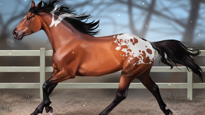art, motion blur, horse, fence, animals, snow