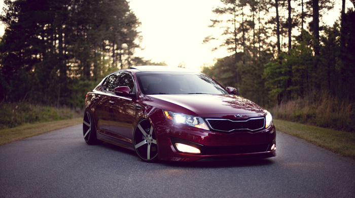 forest, road, cars