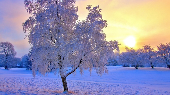winter