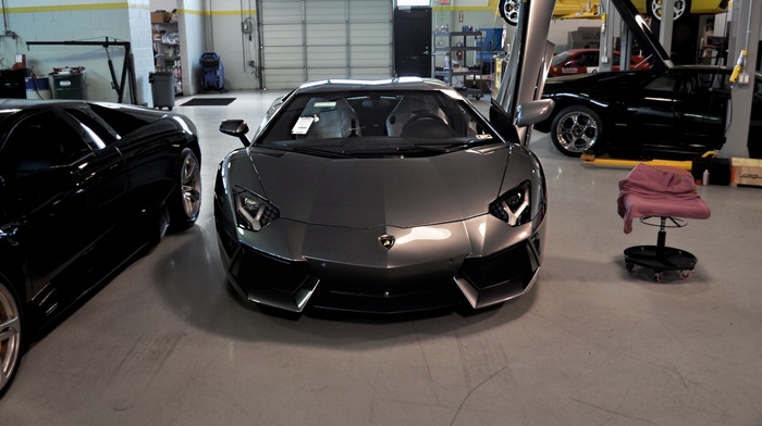 aventador, lamborghini, cars