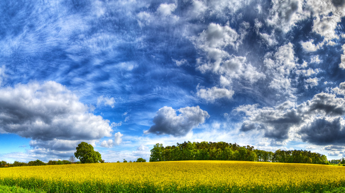 grass, Earth, sky, clouds, nature, trees