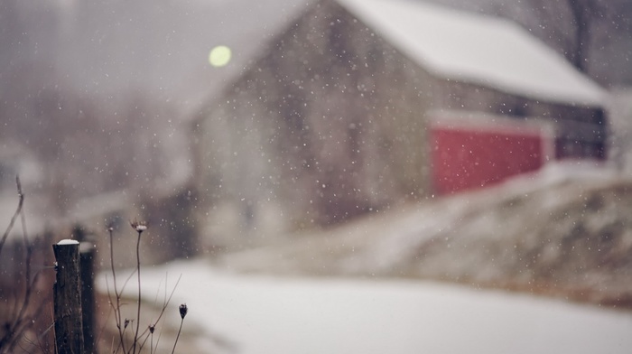 background, snow, fence, macro