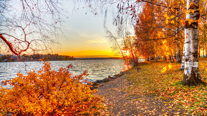 leaves, lake, sunset, nature, autumn, trees, landscape