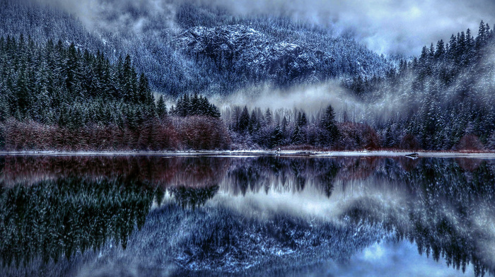 nature, mist, winter, lake, snow