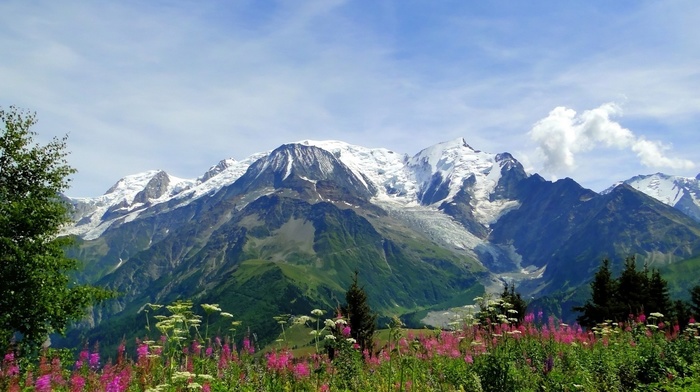 mountain, grassland, nature, Alps