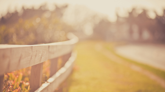 highlights, fence, macro