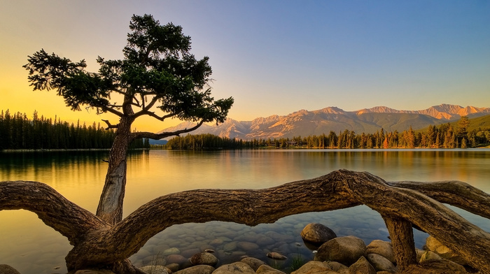 lake, nature, tree, mountain