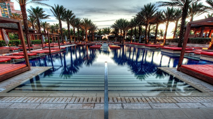 swimming pool, palm trees
