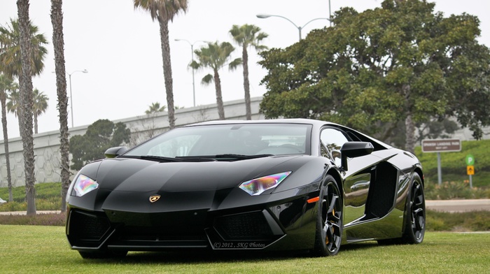 cars, lamborghini, car