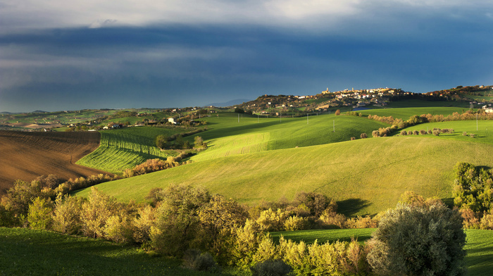 nature, Italy, trees, field, autumn