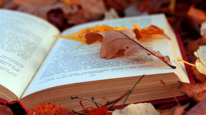 book, foliage, autumn, text, stunner, leaves