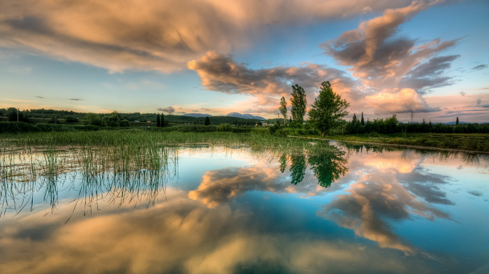 nature, water, sky, spring, trees, lake, clouds