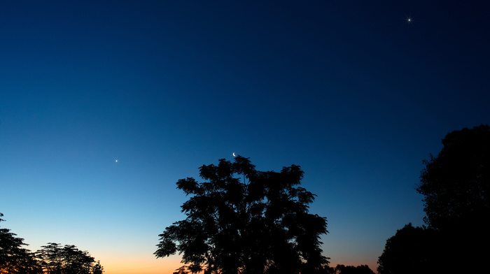 moon, nature