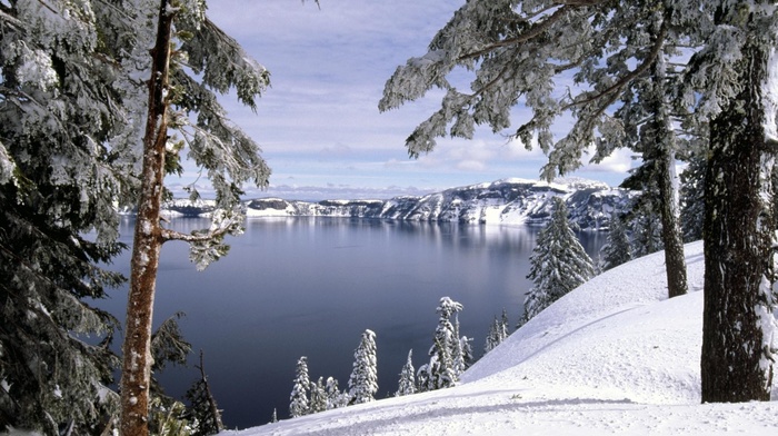 hills, winter, forest, nature, trees, snow, lake