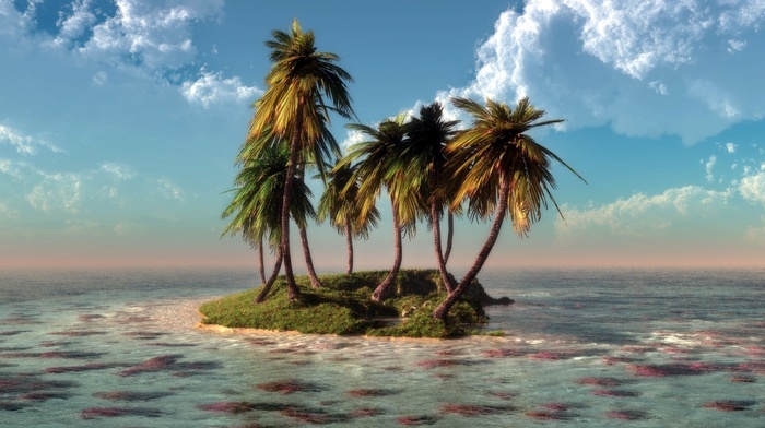 art, 3D, water, palm trees, sea, island, clouds, nature