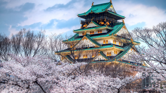 sakura, Japan, spring, sky, city, color, cities