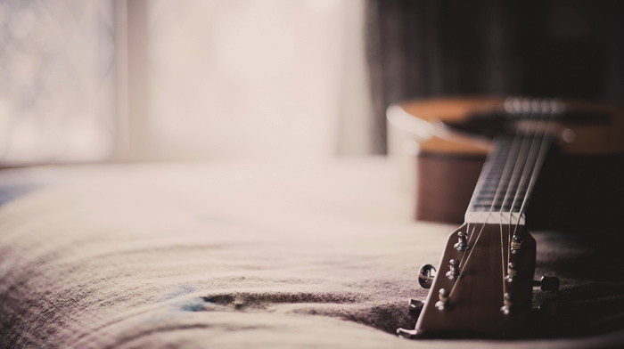 guitar, house, macro