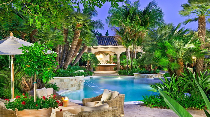 interior, palm trees, flowers, swimming pool