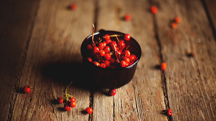 berries, macro