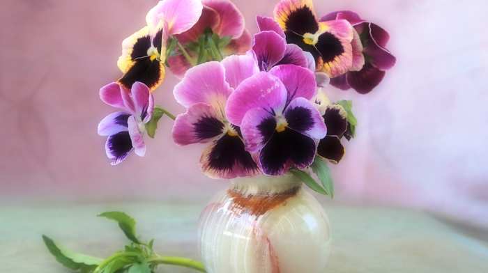 bouquet, still life, flowers, tenderness, vase