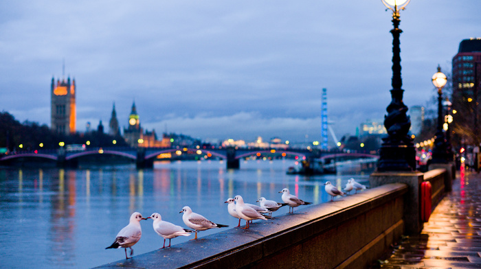 street, cities, England, river, light, London, city