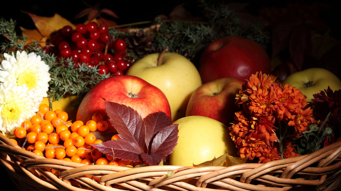 apples, fruits, autumn, flowers, leaves, delicious, basket
