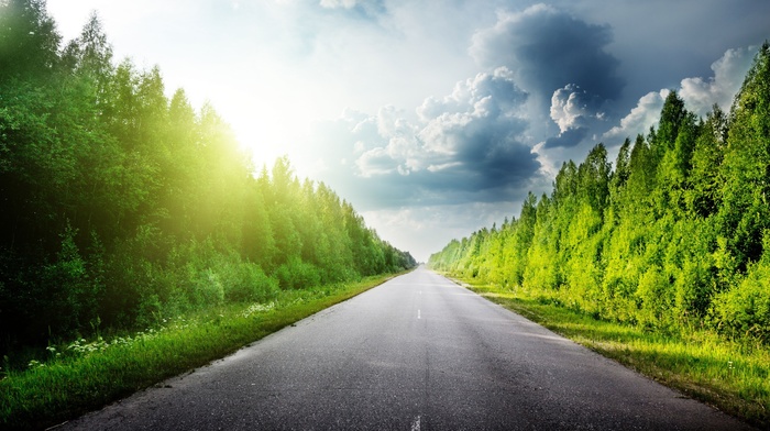 sky, clouds, forest, nature, road