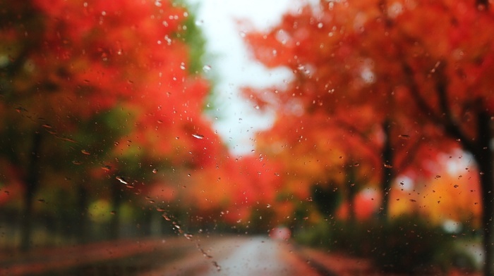 autumn, road, trees, motion blur, rain, stunner, drops