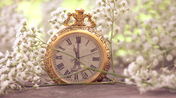 flowers, stunner, macro, clocks