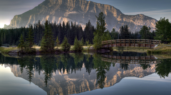 nature, reflection, bridge, river, forest