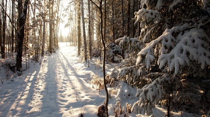 winter