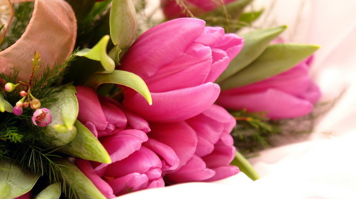 bouquet, leaves, flowers, flower, tulips, pink