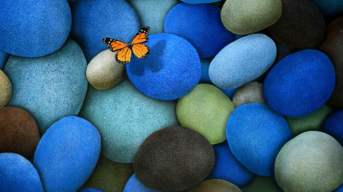 butterfly, 3D, stones