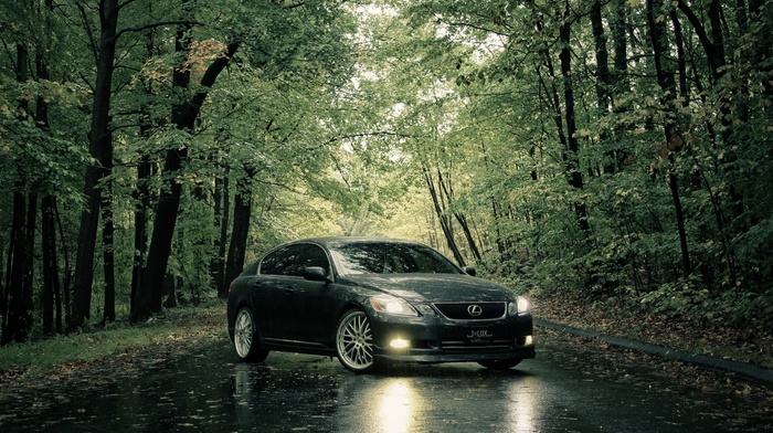 forest, cars, road