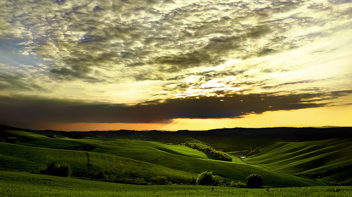sunset, hills, greenery, trees, nature, sky, grass, clouds