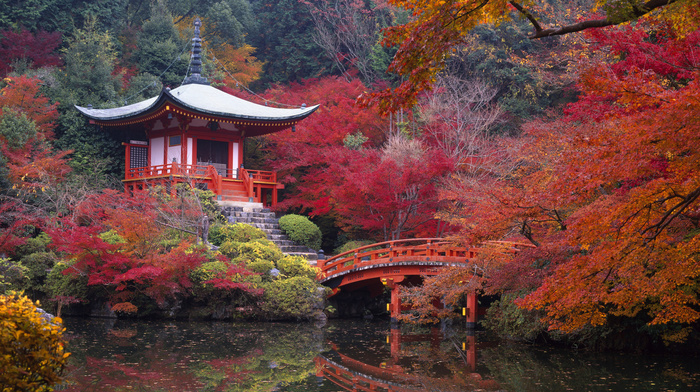 autumn, Japan, stunner
