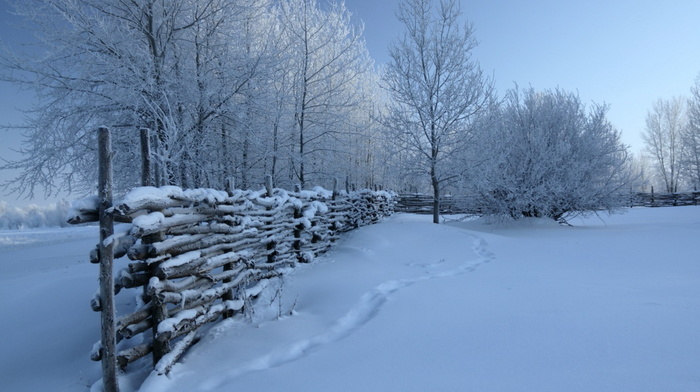 fence, snow, nature, winter