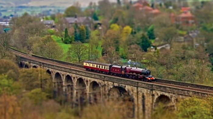 railway, trees, autumn