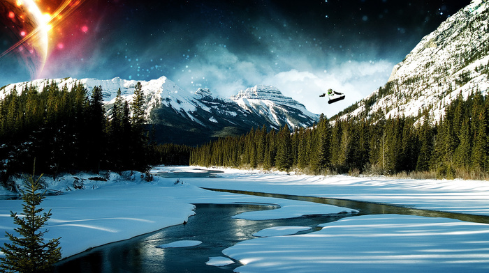 forest, winter, snow
