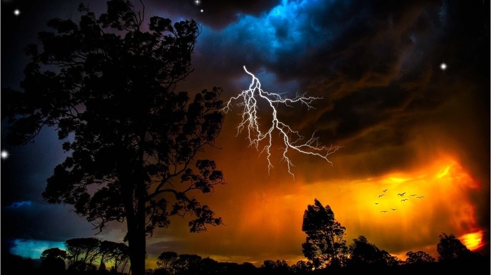 lightning, stunner, trees