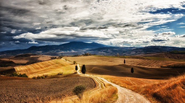 hills, nature, field, Italy, trees