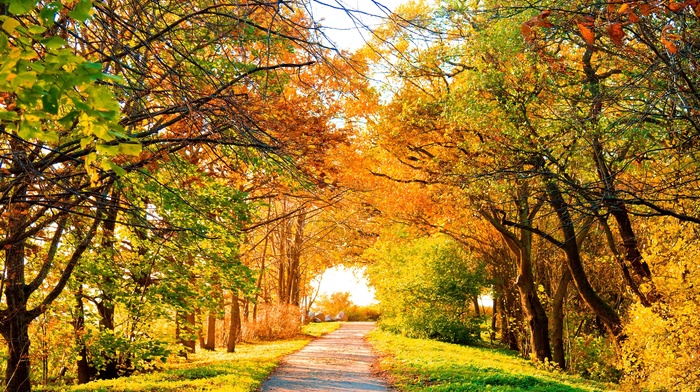 landscape, clouds, autumn, nature