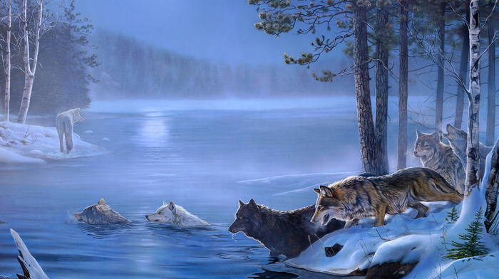 forest, ice, animals, trees