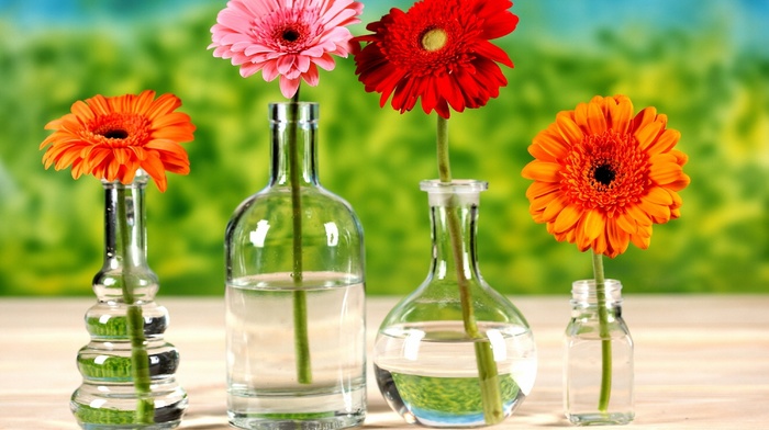 flowers, water, bottle, table