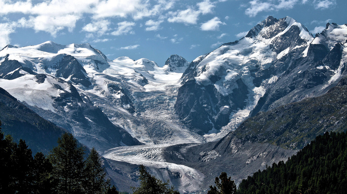 forest, nature, clouds, snow, mountain, sky