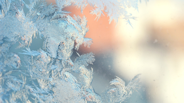 winter, ice, macro