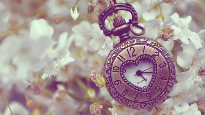 stunner, clocks, flowers